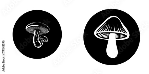 Modern sign symbolizing a champignon mushroom, represented as a button icon in flat design style with editable stroke, isolated on a white background