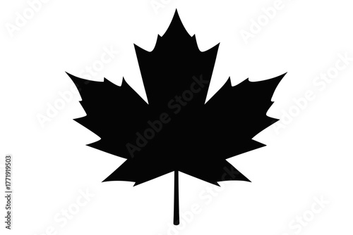 Canadian maple leaf  icon,  maple leaf silhouette art