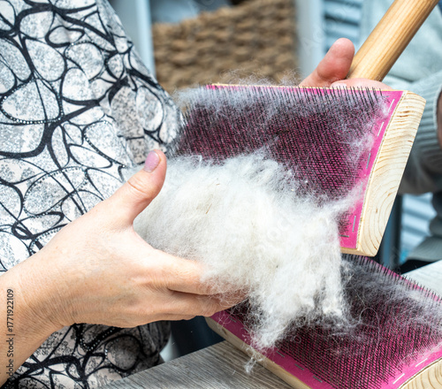 The skill of carding wool by hand, is crucial for producing quality yarn.