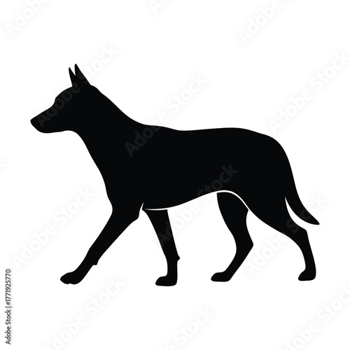 Silhouette of a dog walking, the canine is depicted in a sleek, black profile, showcasing its elegant form and graceful stride