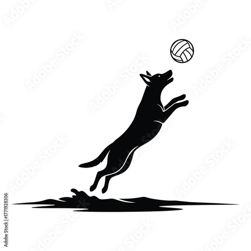 A playful dog leaps with joy, its silhouette a dynamic contrast against the as it chases a ball, embodying energy and enthusiasm