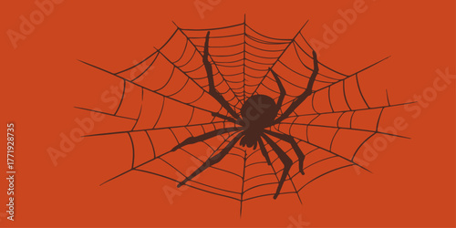 Black macro photo of an arachnid spider on a nature web, a scary symbol for Halloween decoration
