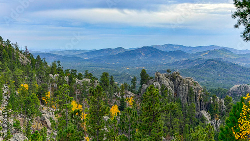 Black Hills panorama in South Dakota show pine & aspen in the fall. Landscape shows blue purple hills in the black hills. Pine trees are in the foreground. Trees are turning yellow. 