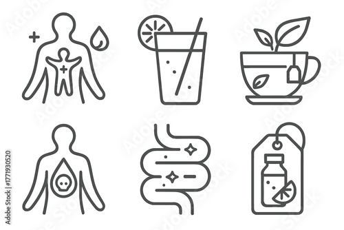 Holistic Healing Icons. Line style icons of holistic healing: detox and cleansing, lemon water glass, detox tea icon, body toxin