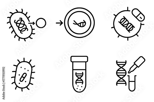 Genetic Engineering Icons. Line style icons of genetic engineering: bacterial transformation, gene plasmid uptake, antibiotic