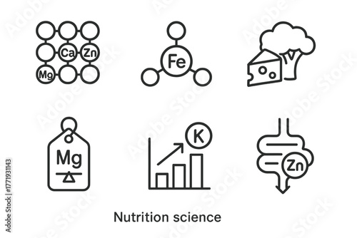 Nutrition Science Icons. Line style icons of nutrition science: minerals, iron molecule icon, calcium-rich food symbol, magnesium
