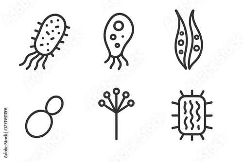 Microorganism Line Icons. Line style icons of microorganisms: bacterium, protozoa, algae, yeast, fungus spore, archaea. No text,