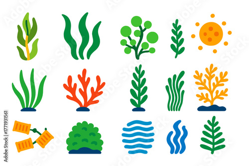 Vibrant Sea Plant Icons. Flat vector icons of deep sea plants: kelp stalk, seaweed frond, algae cluster, phytoplankton bloom,