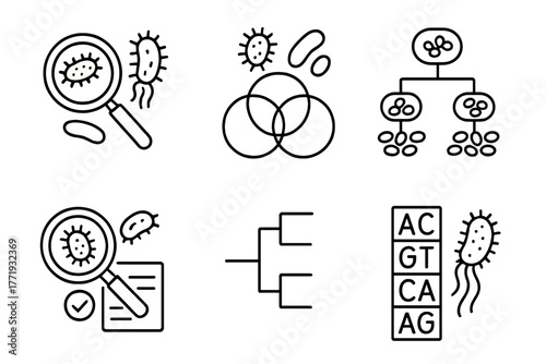 Microbiology Line Icons. Line style icons of microbiology: microbial taxonomy, domain chart, bacterial classification, species