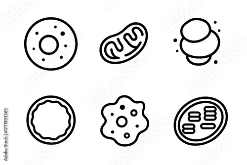 Cellular Structure Icons. Line style icons of cellular structures: nucleus, mitochondria, ribosome, cell membrane, cytoplasm,