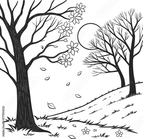 Photos Silhouettes of bare trees in a mysterious forest at night isolated on transparen