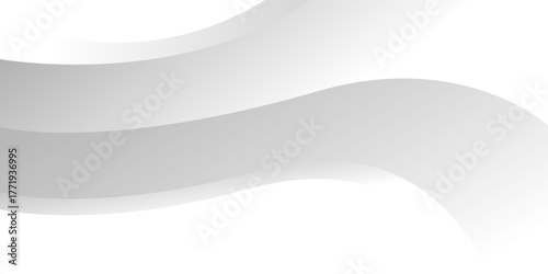 Abstract minimalist white and gray smooth curve modern background. texture white pattern. vector illustration