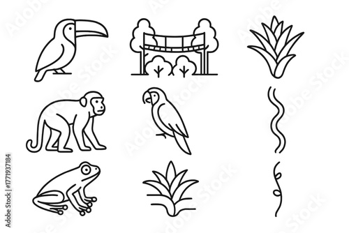 Rainforest Icons Collection. Line style icons of Rainforest Canopy: Toucan, Canopy Walkway, Bromeliad, Howler Monkey, Macaw, Liana