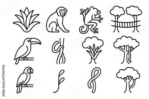 Rainforest Canopy Icons. Line style icons of Rainforest Canopy: Bromeliad, Howler Monkey, Canopy Walkway, Toucan, Tree Frog,