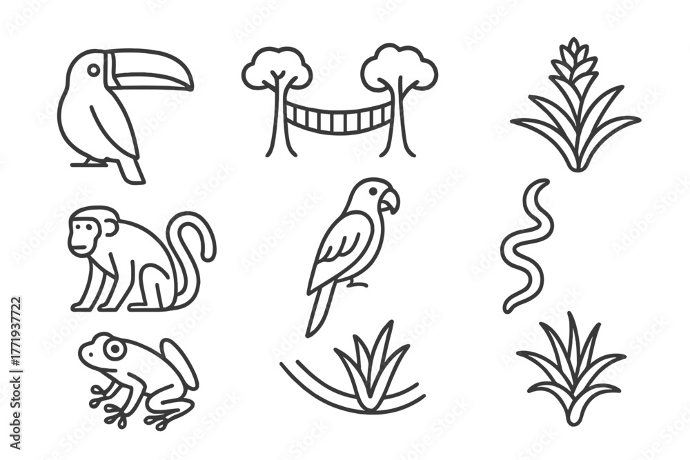 Fototapeta premium Rainforest Icons Collection. Line style icons of Rainforest Canopy: Toucan, Canopy Walkway, Bromeliad, Howler Monkey, Macaw, Liana