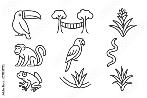 Rainforest Icons Collection. Line style icons of Rainforest Canopy: Toucan, Canopy Walkway, Bromeliad, Howler Monkey, Macaw, Liana