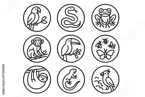 Jungle Wildlife Icons. Line style icons of wildlife in jungle in round shape: parrot, snake, tree frog, jaguar; monkey, toucan,