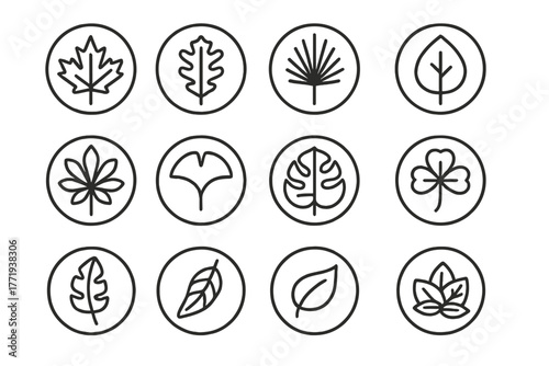 Line Style Leaf Icons. Line style icons of leaves in round shape: maple leaf, oak leaf, palm leaf, birch leaf; chestnut leaf,