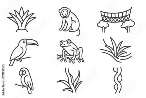 Rainforest Canopy Icons. Line style icons of Rainforest Canopy: Bromeliad, Howler Monkey, Canopy Walkway, Toucan, Tree Frog,