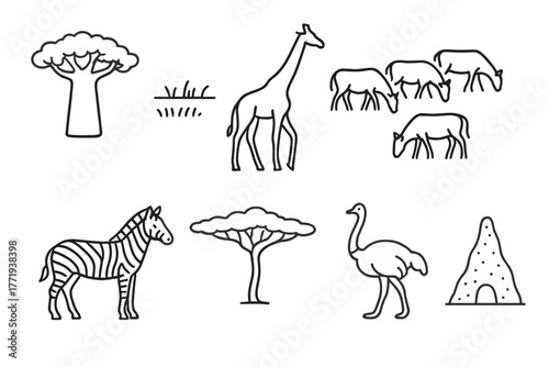 African Veld Icons. Line style icons of African Veld: Baobab Tree, Open Grassland, Giraffe, Herd, Zebra, Acacia Tree, Ostrich,