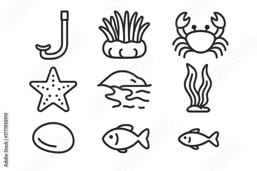 Adventure Tide Pool Icons. Line style icons of Adventure Tide Pool: Snorkel, Anemone, Crab, Starfish, Retreating Tide, Seaweed,