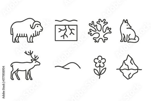 Tundra Line Icons. Line style icons of Tundra: Musk Ox, Permafrost, Lichen, Arctic Fox, Caribou, Snowdrift, Tundra Flower, Iceberg