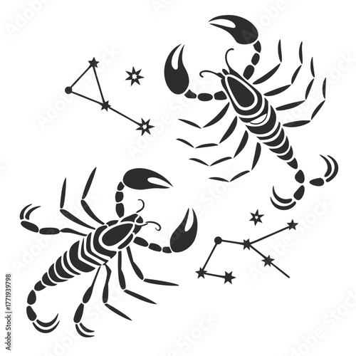 Scorpio zodiac sign and constellation