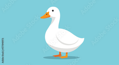 A stylized illustration of a white duck with an orange beak and webbed feet standing against a plain blue background.