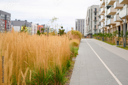 urban landscape with modern apartment buildings and lush tall grasses lining a walkway. contemporary architecture meets nature, offering a vibrant city living experience.