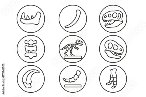 Dinosaur Fossil Icons. Line style icons of dinosaur bones in round shape: jawbone, rib bone, leg bone, vertebrae stack; fossil
