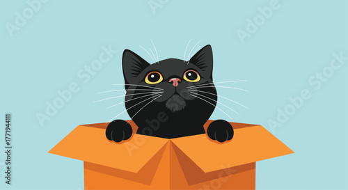 Cute black cat peeking out of an orange cardboard box on a light blue background.