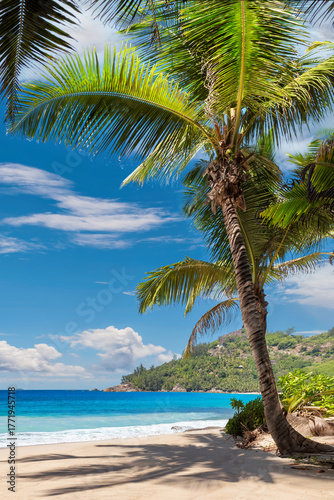 Tropical beach with coco palms and the turquoise sea in Caribbean island.
