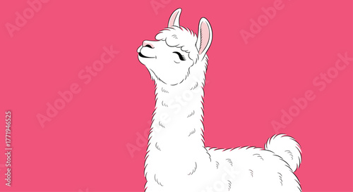Close up of a cute white cartoon llama with its head tilted back on a vibrant pink background.