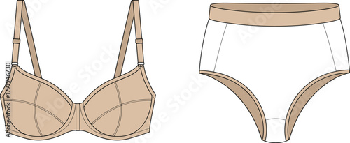 Romantic Vintage Floral Panty Vector Illustration, Rose Print Underwear with Bow Detail, Feminine Apparel Design Template, cad drawing flat vector illustration.