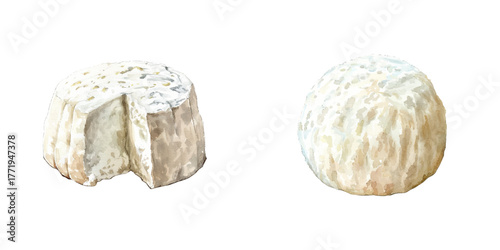 ricotta watercolor vector illustration