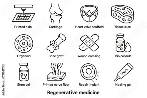 Graft valve re cartilage tissue organoid gel icon slice skin vector