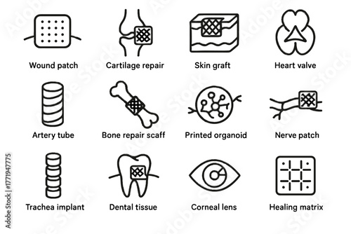 Heart bioprinting printed icon artery vector medical repair icons bone cartilage dental