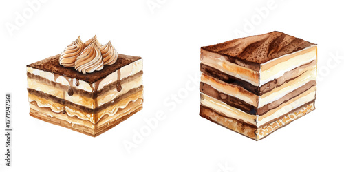 tiramisu watercolor vector illustration