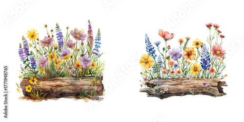 wildflowers on log watercolor vector illustration
