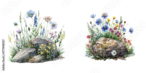 wildflowers on rock watercolor vector illustration