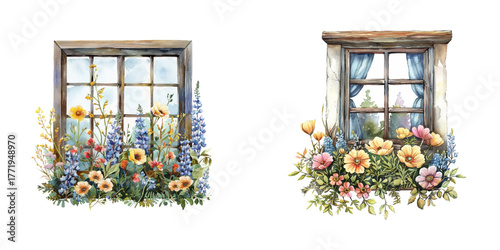 window flowers scenery watercolor vector illustration