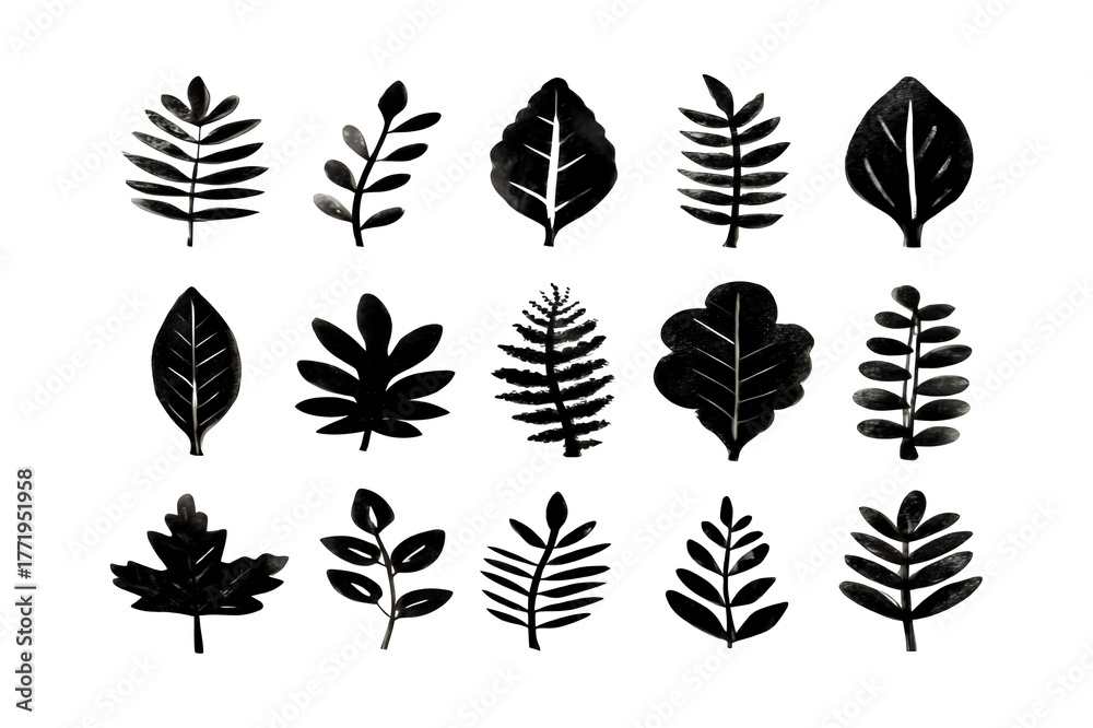 Fototapeta premium Collection of dark tropical foliage silhouettes displaying various leaf shapes and textures for natural design elements isolated on transparent background