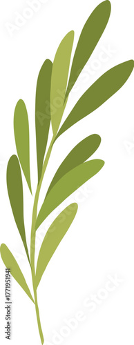 Cartoon meat product. Chicken, sausages and sausages. Steaks, pork bacon and ribs vector. Steak chicken, sausage and bacon, product ingredient illustration