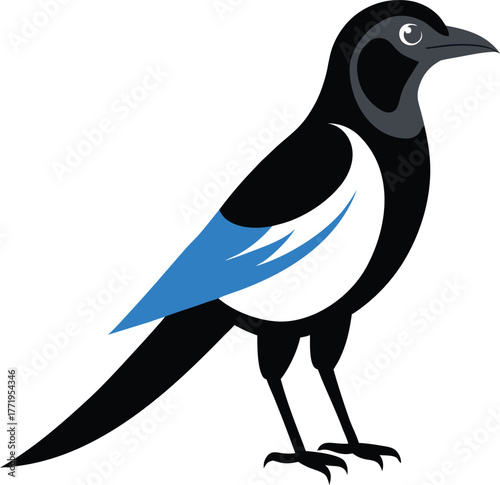 Elegant Magpie Bird Artwork Showing Grace And Beauty In Flight Vector illustration