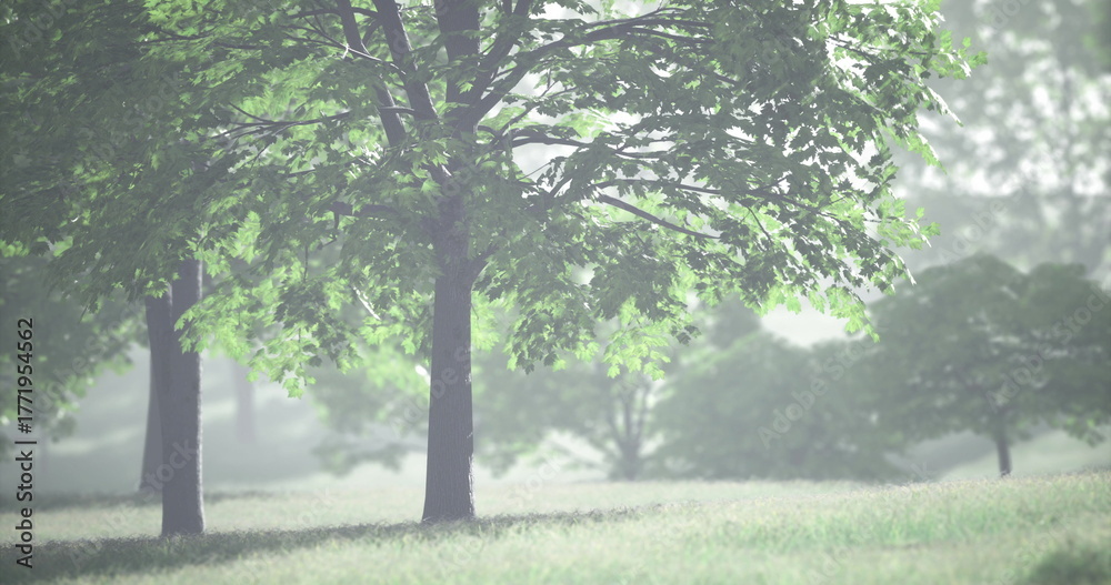Obraz premium Sunlight filters through vibrant green leaves, casting playful shadows on the soft grass below. The tranquility of the park invites peaceful contemplation amid natures beauty.