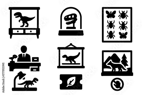 Museum Icons Collection. Solid style icons of Natural History Museum: display cabinet, glass dome, insect drawers, curator desk,