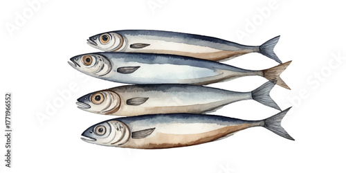 Watercolor sardines. Simple Scandinavian style decor in soft blue and brown tones. Hand drawn aesthetic, cozy and marine composition. Isolated on white background. Vector