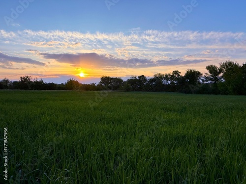 Sunset sky over the field.