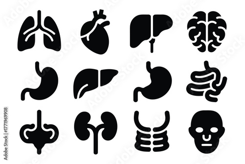 Vector illustration human internal organs icons set, anatomy and physiology glyph vector illustration