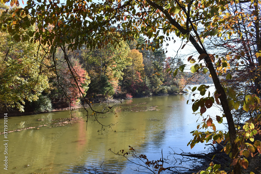 Fototapeta premium A tranquil lake is surrounded by fall foliage in shades of yellow, orange, and red. Trees line the water's edge, their branches extending over the lake, casting reflections on its surface.